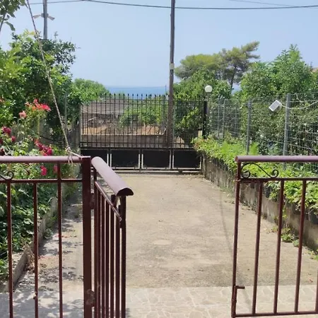 Rontaki Farm * Kyparissia