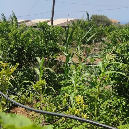 Rontaki Farm Kyparissia